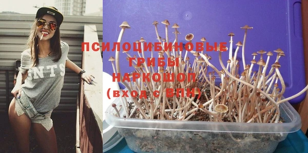 эйфоретик Алексин