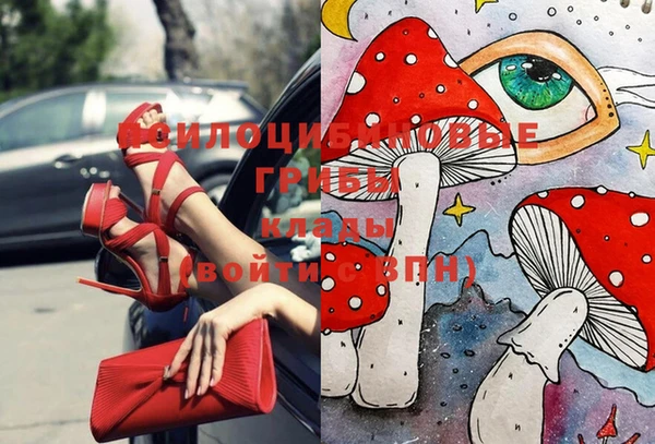 прущий лед Алзамай