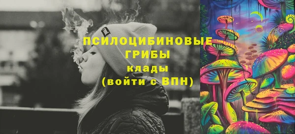 прущие крисы Абаза