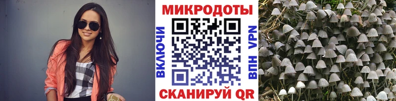 купить   Мегион  Галлюциногенные грибы MAGIC MUSHROOMS 